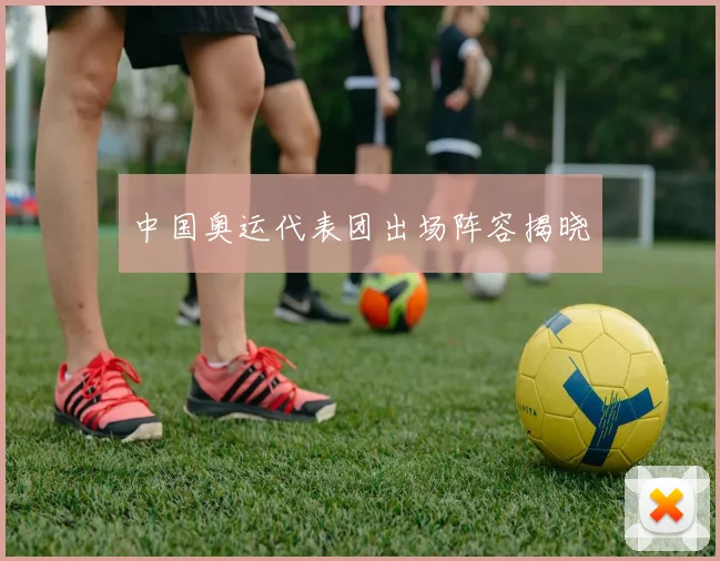 中国奥运代表团出场阵容揭晓