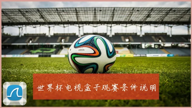 世界杯电视盒子观赛条件说明