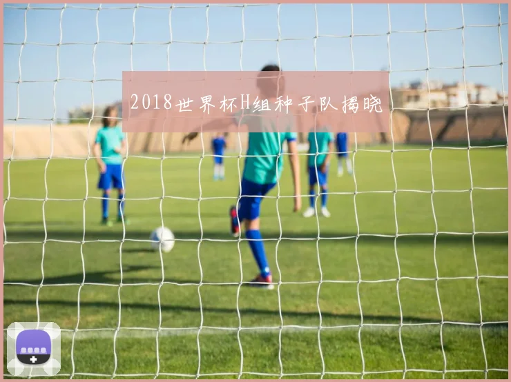 2018世界杯H组种子队揭晓