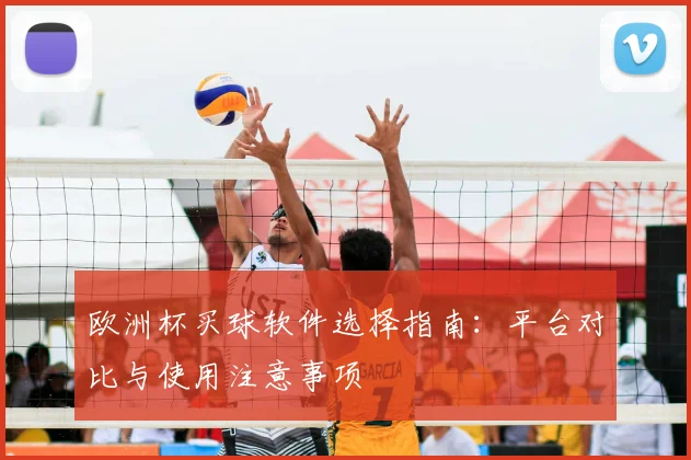 欧洲杯买球软件选择指南：平台对比与使用注意事项